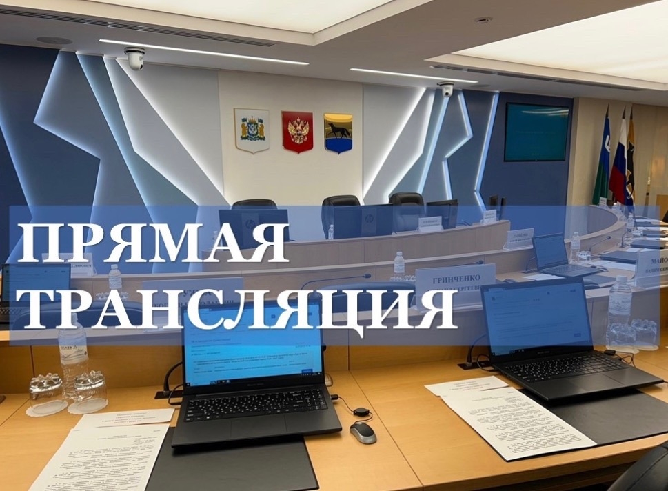 На фоне зала заседаний Думы надпись прямая трансляция